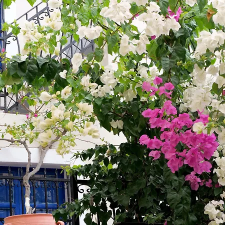 Kykladonisia Traditional Settlement