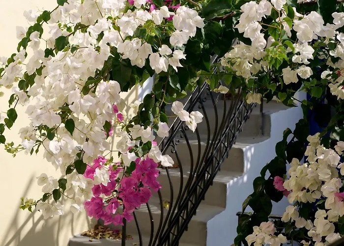 Gasthuis Kykladonisia Traditional Settlement Firá