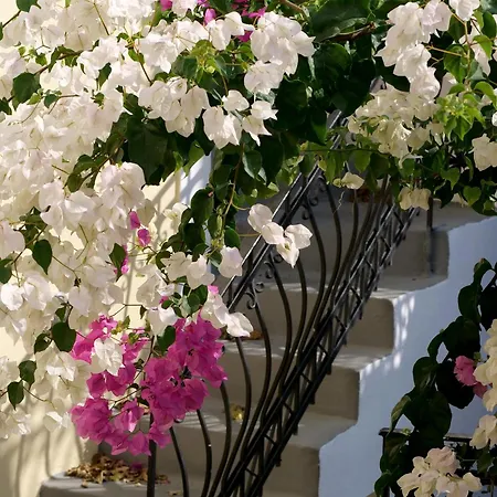 Guest house Kykladonisia Traditional Settlement Fira (Santorini)