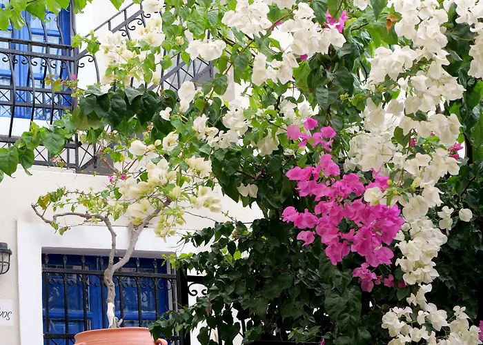 Kykladonisia Traditional Settlement